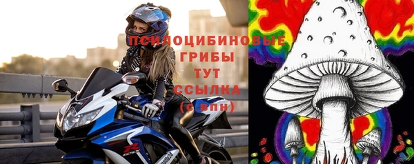 MDMA Premium VHQ Белокуриха
