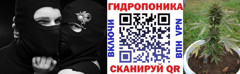 Марихуана сатива  mega ССЫЛКА  Вяземский  как найти  